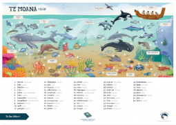 Te Moana [The Ocean] Te Reo Poster